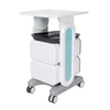 Beauty Salon Trolley Cheap Tool Cart Hairdressing 2 Layer Drawers Salon Furniture Spa Trolley